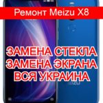 Ремонт Meizu X8 замена стекла и экрана