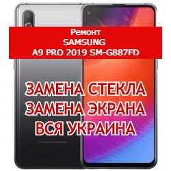 ремонт Samsung A9 Pro 2019 SM-G887FD замена стекла и экрана