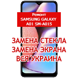 ремонт Samsung Galaxy A01 SM-A015 замена стекла и экрана