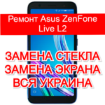 ремонт Asus ZenFone Live L2 замена стекла и экрана